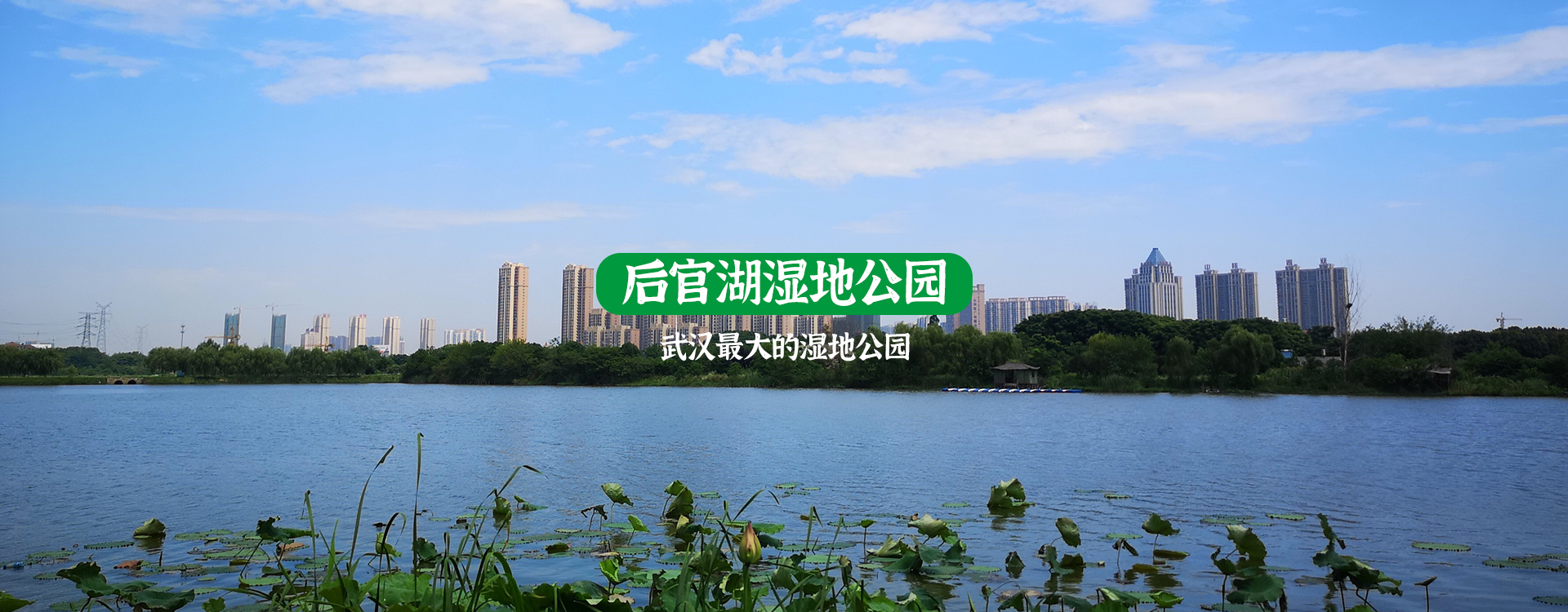 后官湖<br>濕地公園